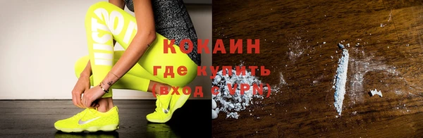 трава Ельня