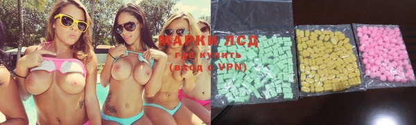 ECSTASY Горняк