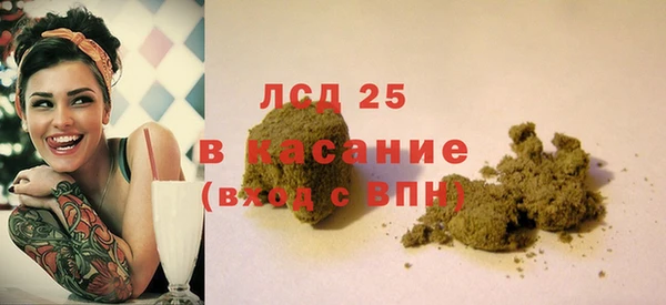 ECSTASY Горняк