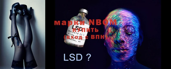 ECSTASY Горняк