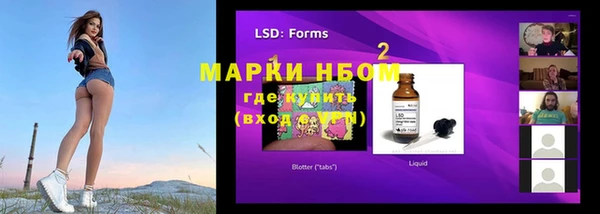 ECSTASY Горняк