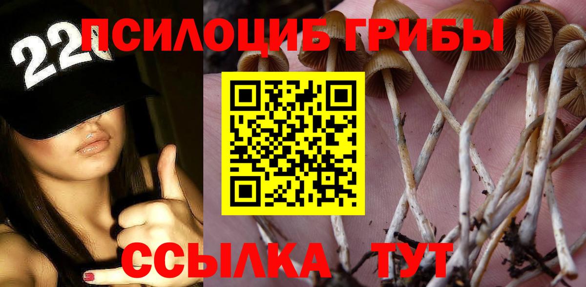 Джанкой  Псилоцибиновые грибы мухоморы  Вход с VPN 